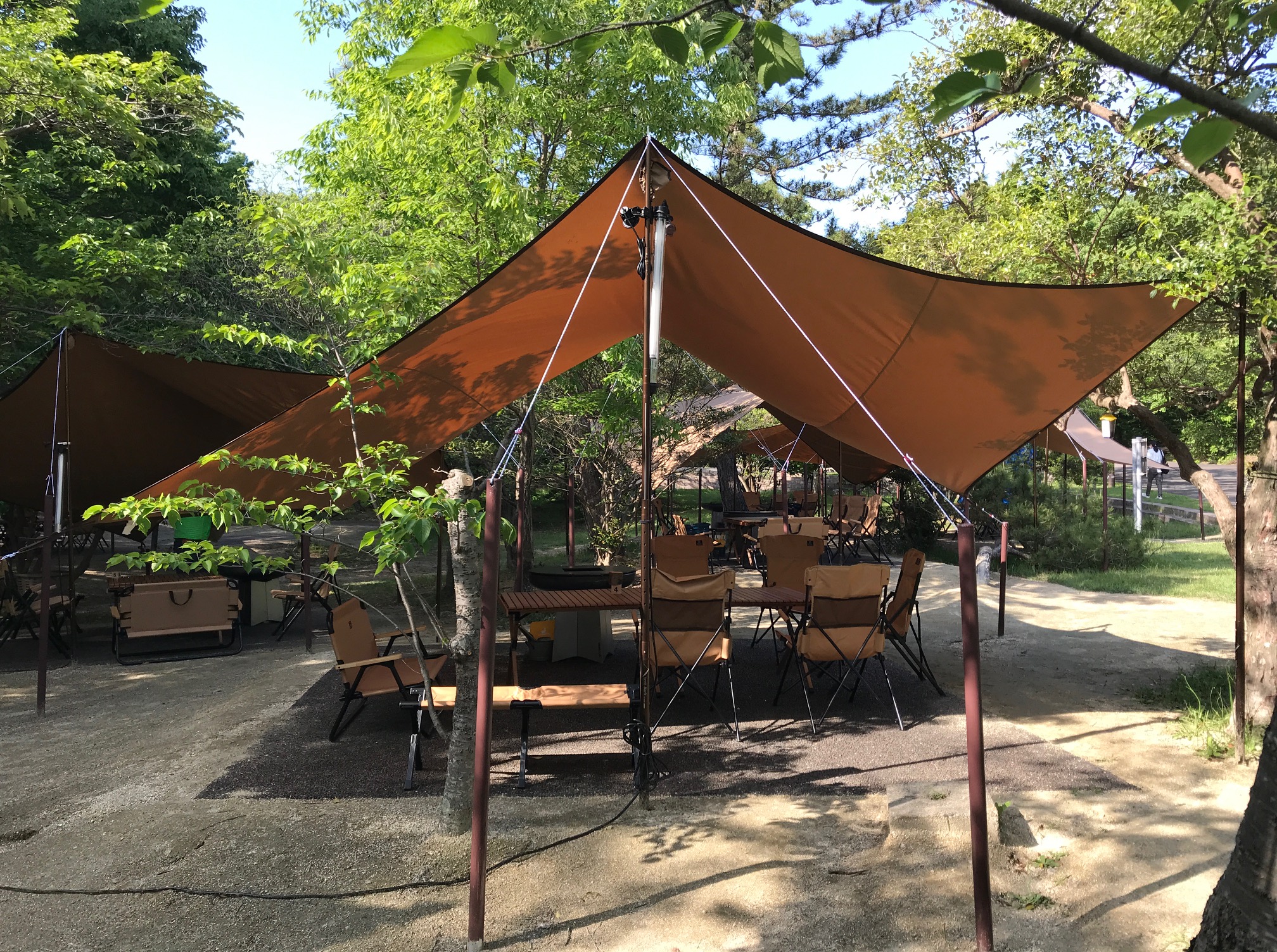 オバッタベッタ