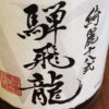 騨飛龍
